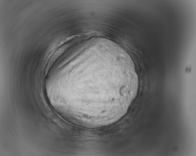 X0000116100241200912071306