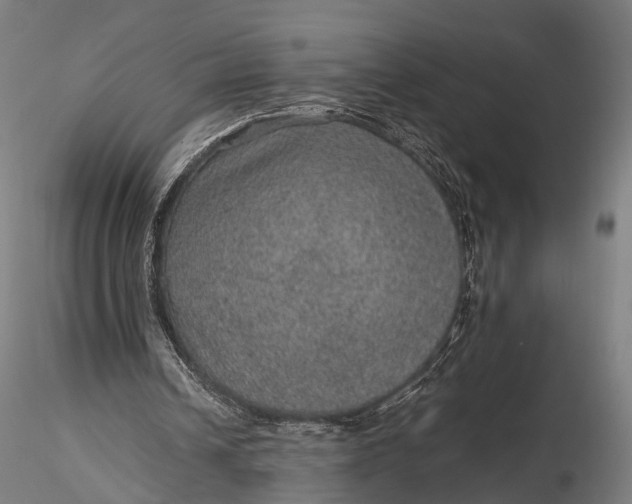 X0000116100242200912071306