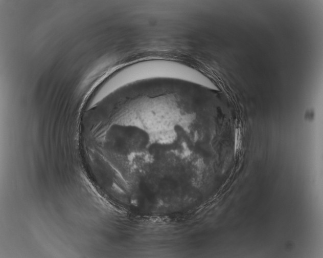 X0000116100243200912071306