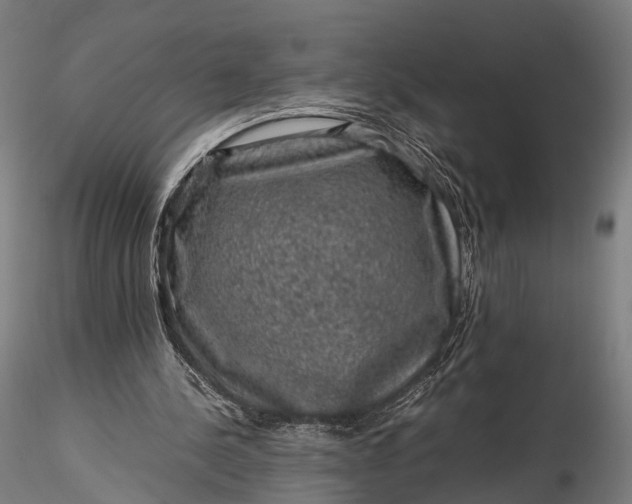 X0000116100244200912071306