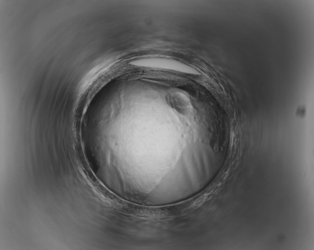 X0000116100245200912071306