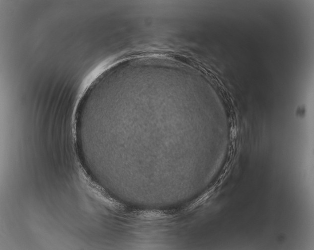 X0000116100246200912071306