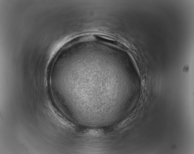 X0000116100248200912071306