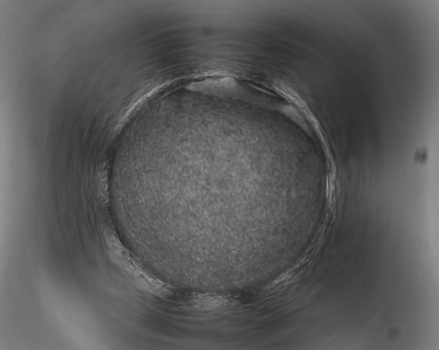 X0000116100249200912071306