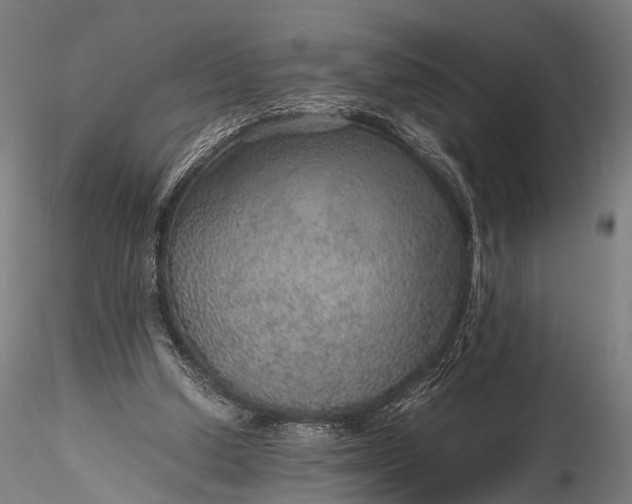 X0000116100250200912071306