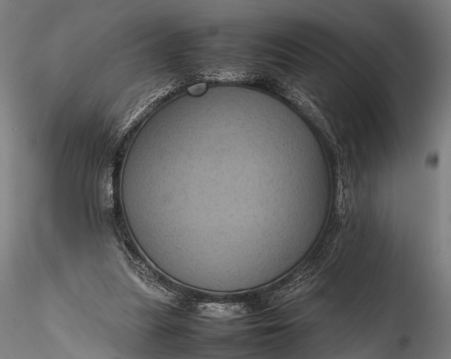 X0000116100251200912071306