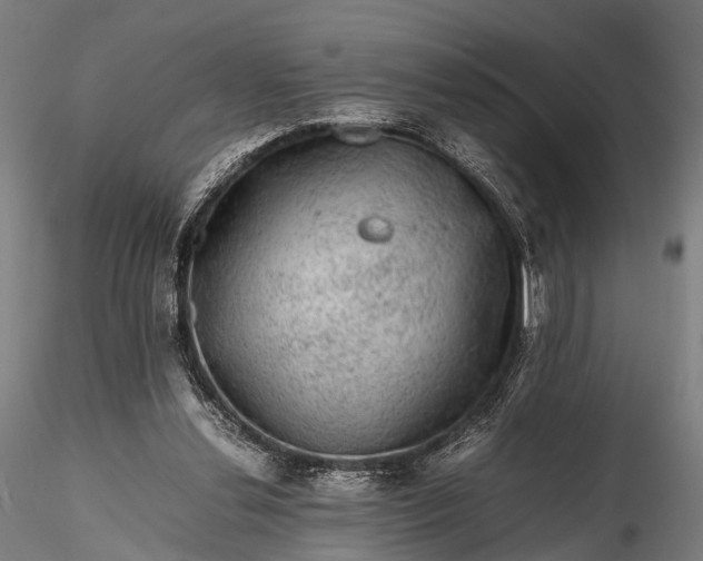 X0000116100252200912071306