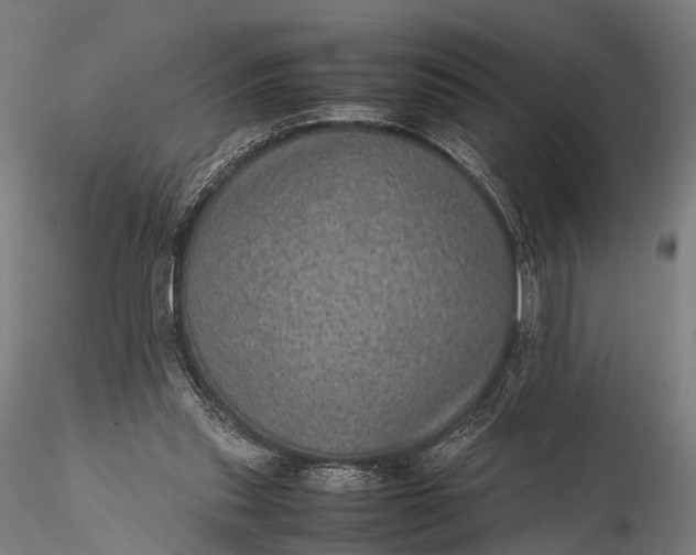 X0000116100253200912071306