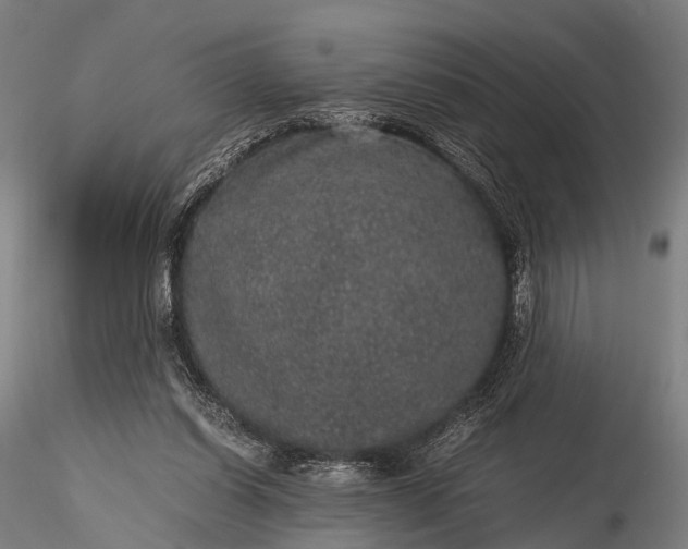 X0000116100254200912071306