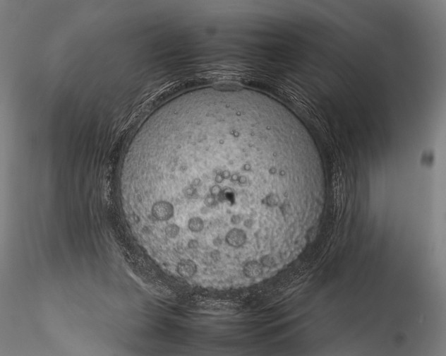 X0000116100255200912071306