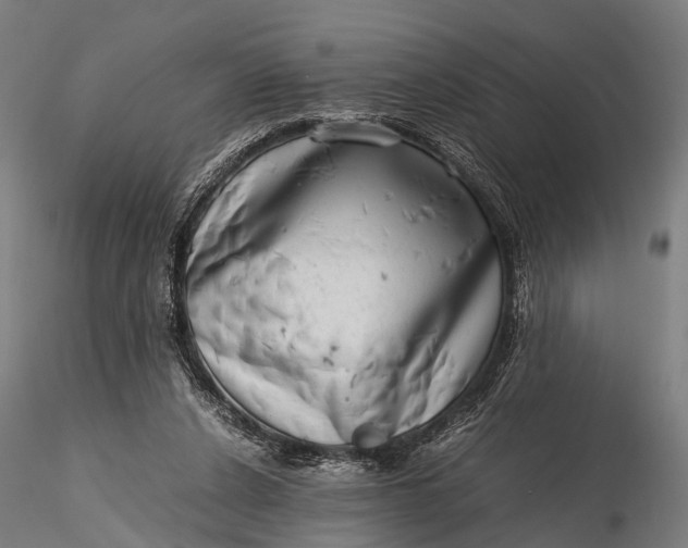 X0000116100256200912071306