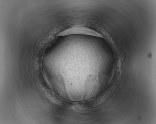 X0000116100257200912071306