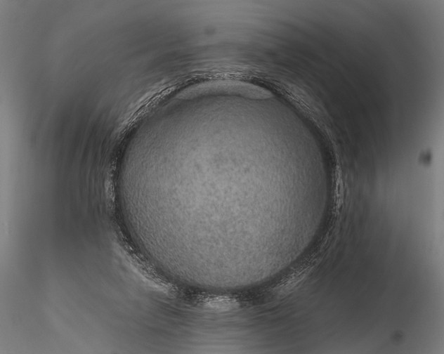 X0000116100258200912071306