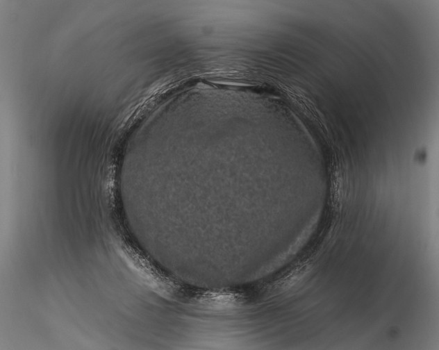 X0000116100260200912071306