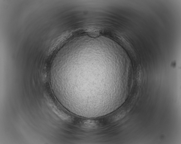 X0000116100261200912071306