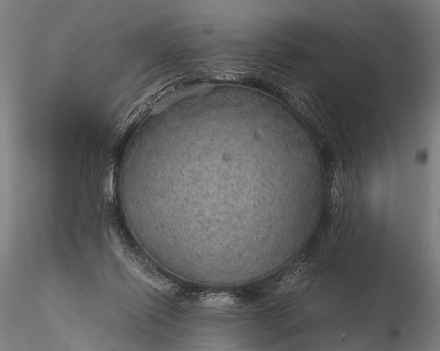 X0000116100262200912071306