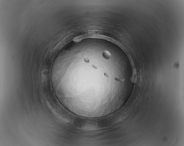 X0000116100263200912071306