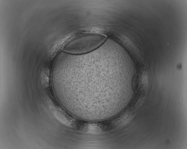 X0000116100264200912071307