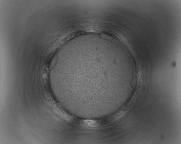 X0000116100265200912071307