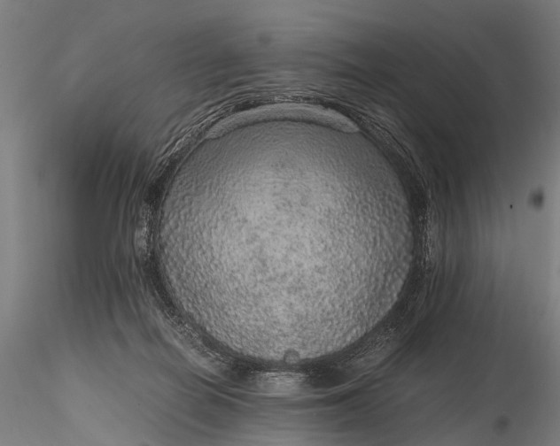 X0000116100266200912071307