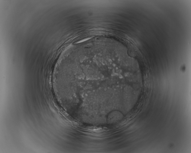 X0000116100267200912071307