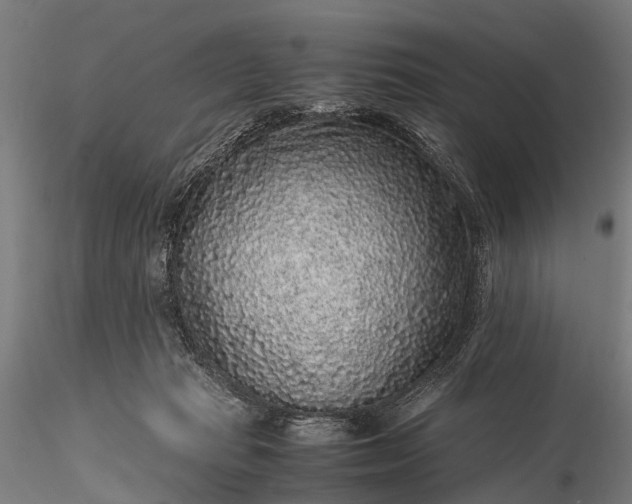 X0000116100269200912071307