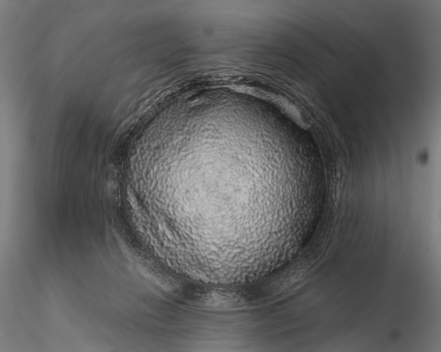 X0000116100270200912071307