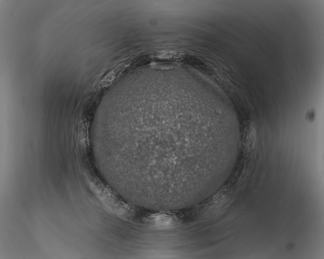 X0000116100272200912071307