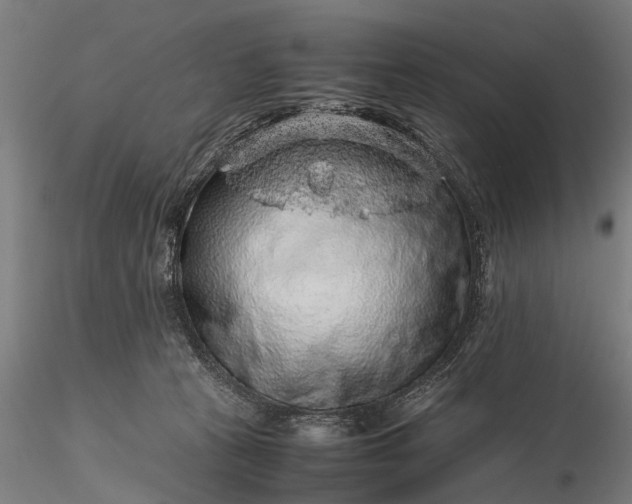 X0000116100273200912071307