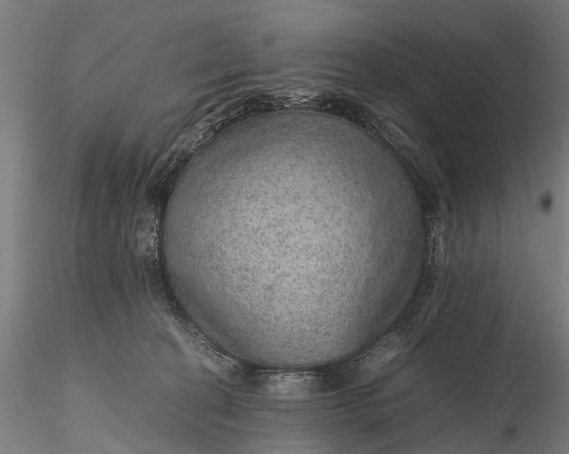 X0000116100274200912071307