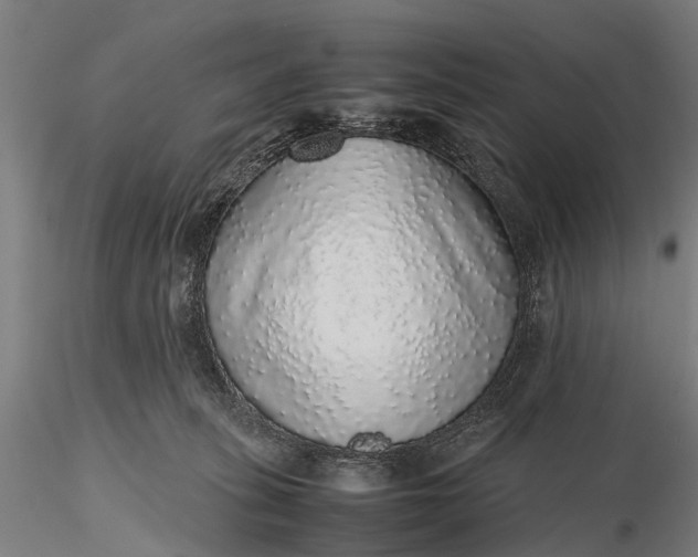 X0000116100275200912071307