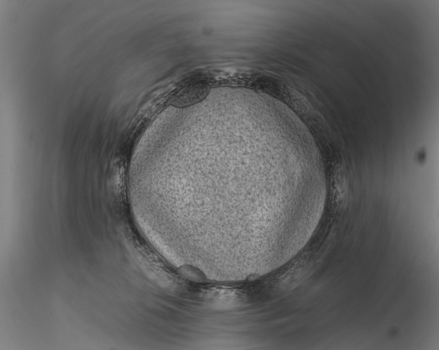 X0000116100276200912071307