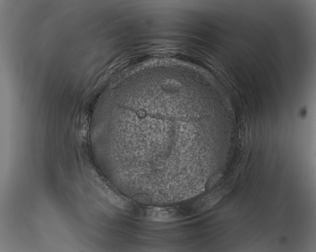 X0000116100277200912071307