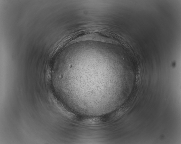 X0000116100278200912071307