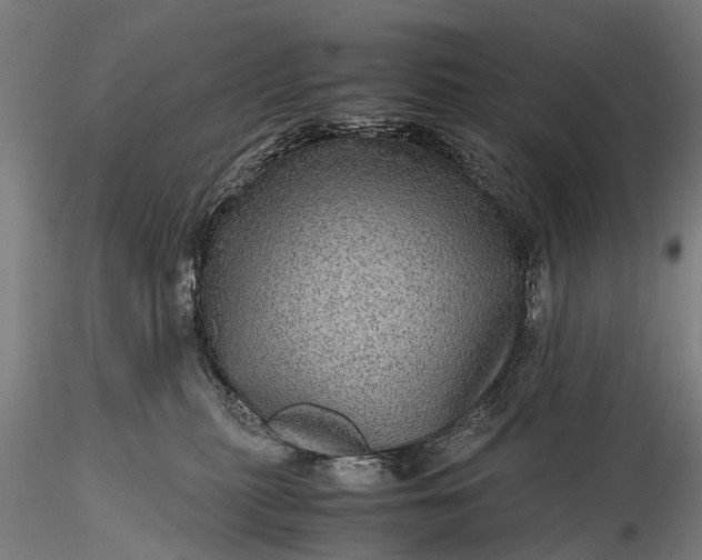 X0000116100279200912071307