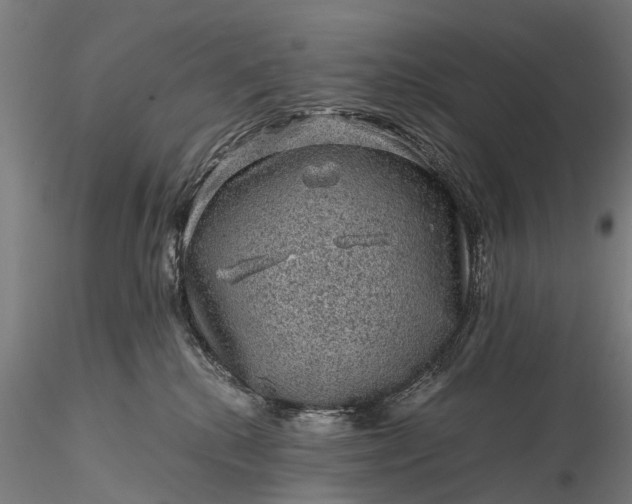 X0000116100280200912071307