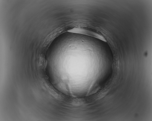 X0000116100281200912071307