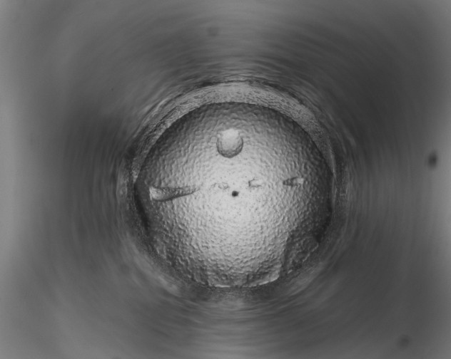 X0000116100282200912071307