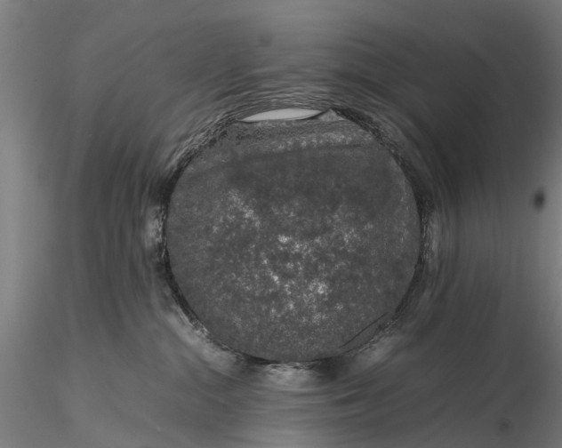 X0000116100284200912071307