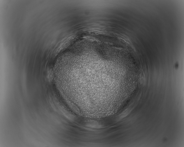 X0000116100285200912071307