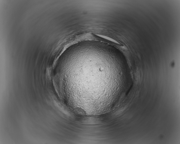 X0000116100286200912071307