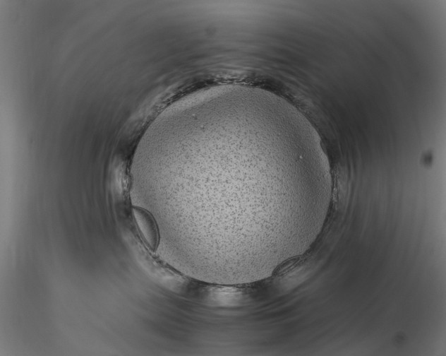 X0000116100287200912071307