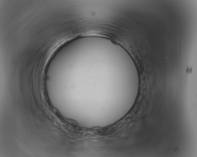 X0000116100289200912071306