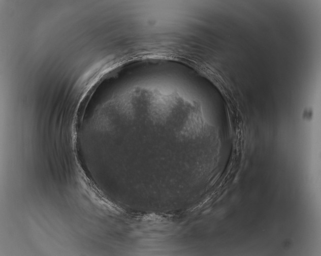 X0000116100290200912071306