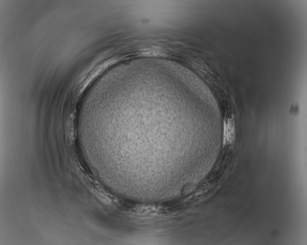 X0000116100291200912071306