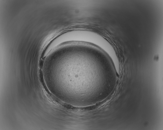 X0000116100293200912071306