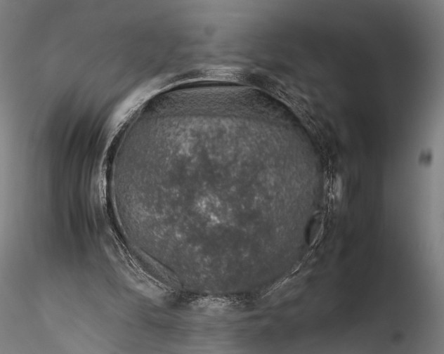 X0000116100294200912071306