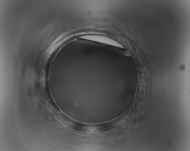 X0000116100295200912071306