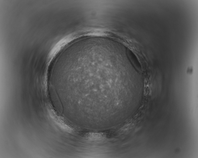 X0000116100296200912071306