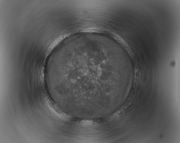 X0000116100298200912071306